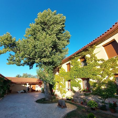 Casa Atenea Zamora Ngoại thất bức ảnh