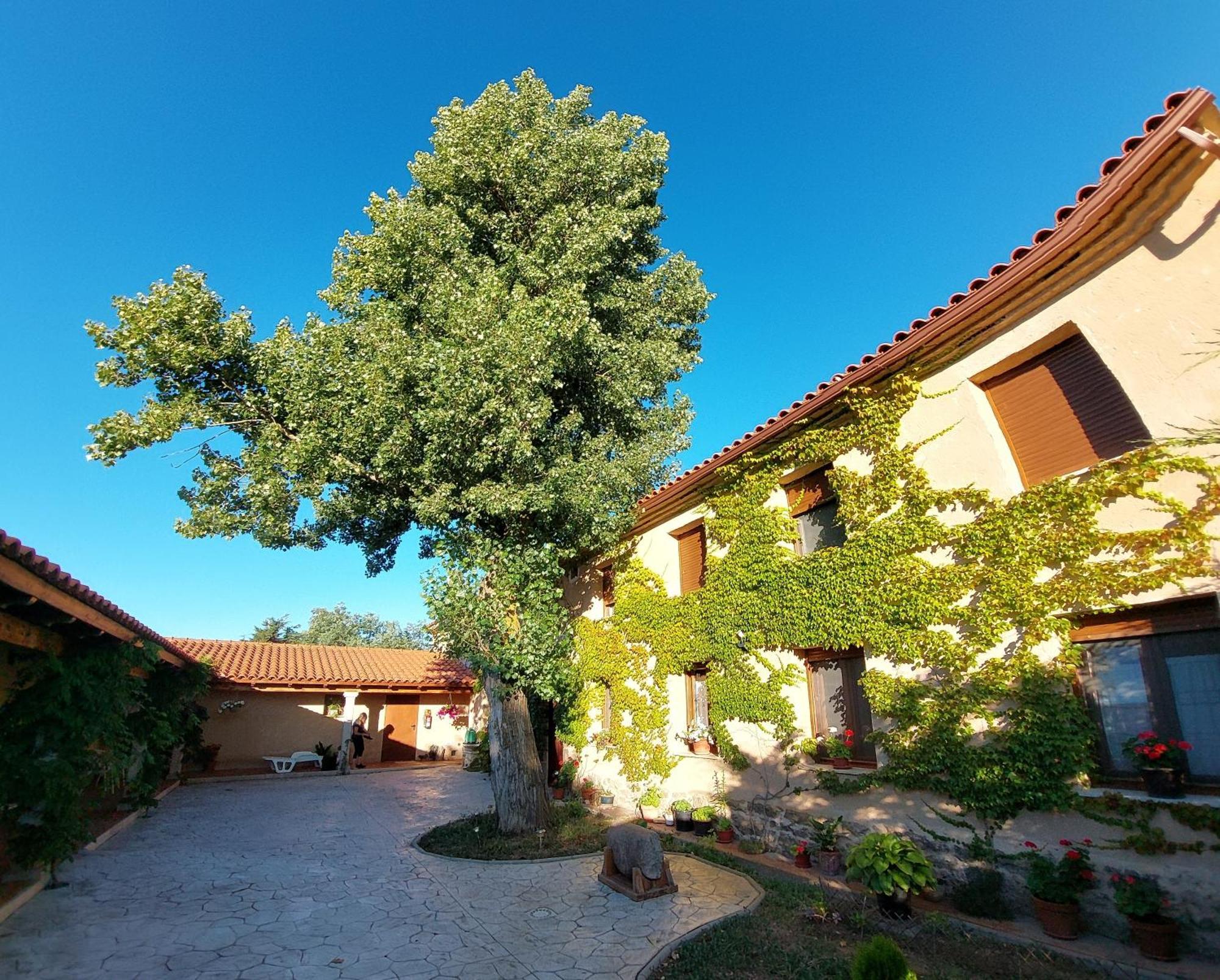 Casa Atenea Zamora Ngoại thất bức ảnh